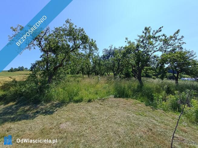 Działka z 2 domkami całorocznymi