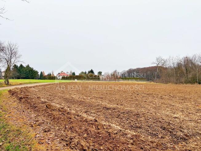 Działka inwestycyjna Konopnica, Konopnica