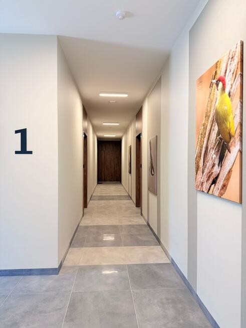 BEZPOŚREDNIO "Pod klucz" Nowe 2026 os.Wolne Miasto