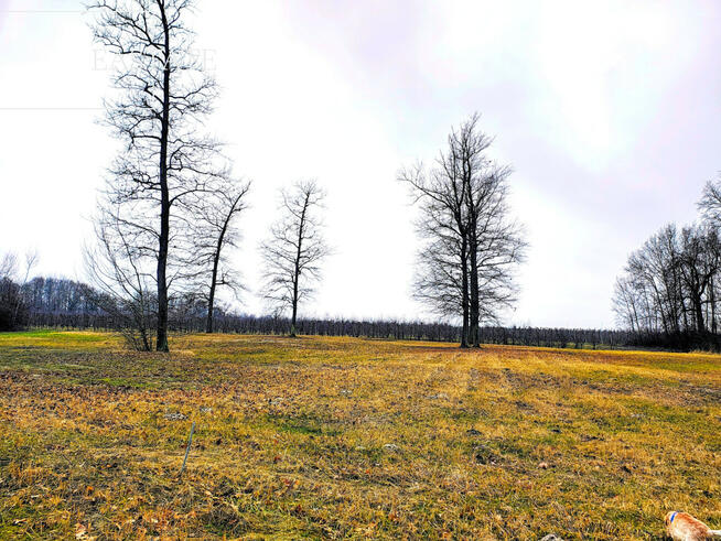 Działka budowlana Mariańskie Porzecze gm. Wilga,
