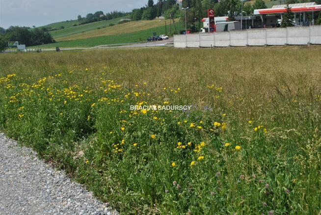 Działka usługowa Brzezie gm. Kłaj