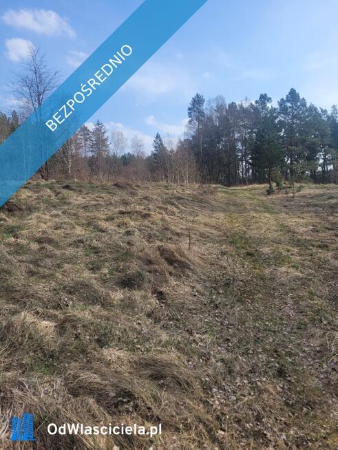 Duża Działka budowlana z małym własnym parkiem