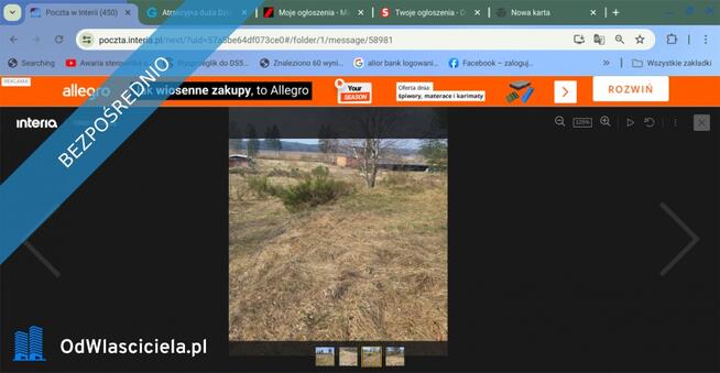 Duża Działka budowlana z małym własnym parkiem