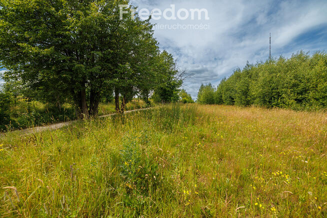 Działka z MPZP - dom lub bliźniak, niedaleko lasu