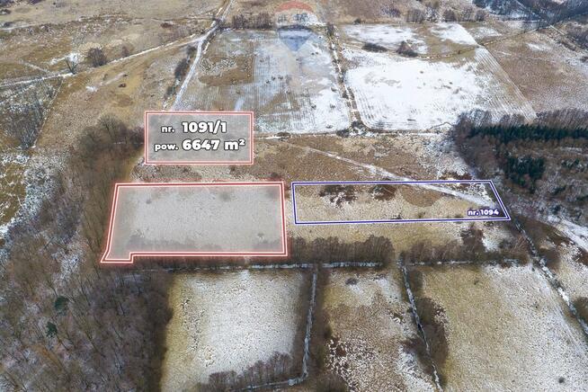 Działka rolna o pow. 6.647 m²