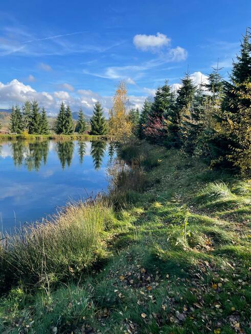 Lokal użytkowy gm. Czarny Bór, ok. Kamiennej