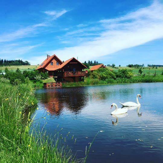 Lokal użytkowy gm. Czarny Bór, ok. Kamiennej