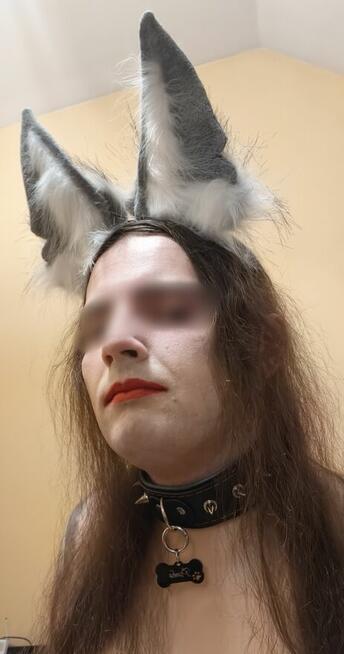 Szukam Pana, partnera, mojego człowieka, towarzysza