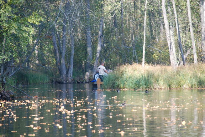 Spływy łodziami i kajaki Krutyń – Odkryj Rezerwat Krutynia