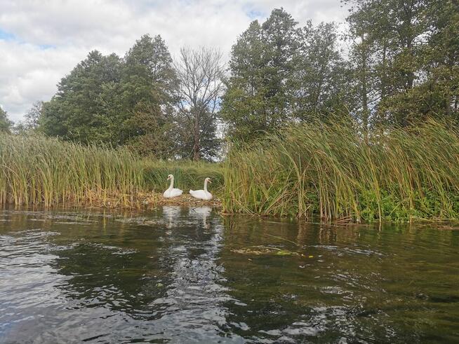 Kajaki Ukta – AS-TOUR – Spływy Krutynią, transport i parking