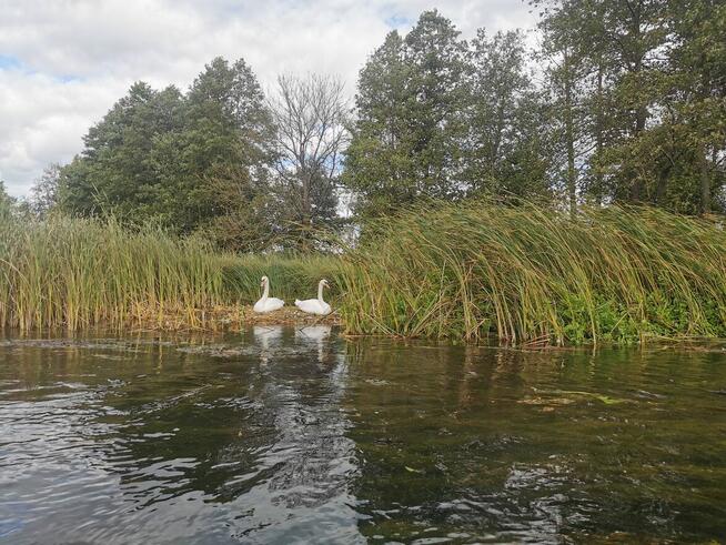 Kajaki Krutynia – AS-TOUR – Nowoczesny sprzęt i logistyka