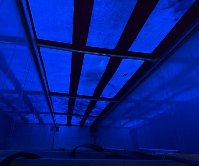 Naczepa z wydmuchem Wywrotka do paszy zboza sruty