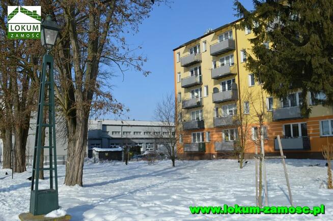 Mieszkanie M3 na parterze. Zamość ul. Peowiaków,