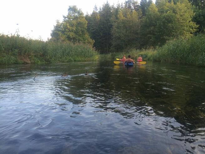 Kajaki Krutynia – AS-TOUR – Nowoczesny sprzęt i logistyka