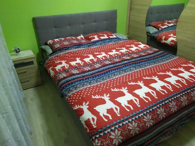 Mieszkanie z dużym tarasem w Katowicach. Wynajmę.