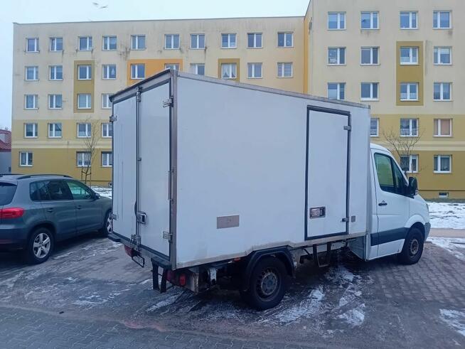 Sprinter Chłodnia kontener