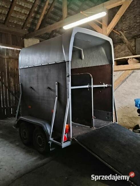 Przyczepa dla koni