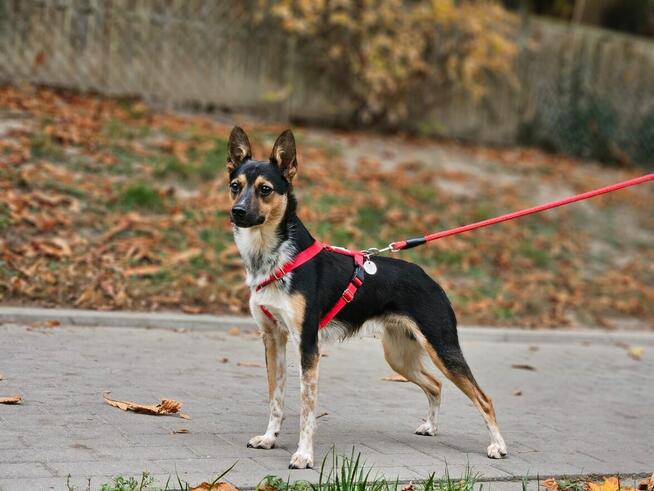 Julianek kocha wszystkich, pokochasz jego?