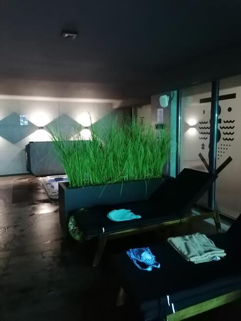 sprzedam apartamenty