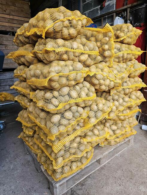 Ziemniaki jadalne Soraya. Marchew Pietruszka Buraczki