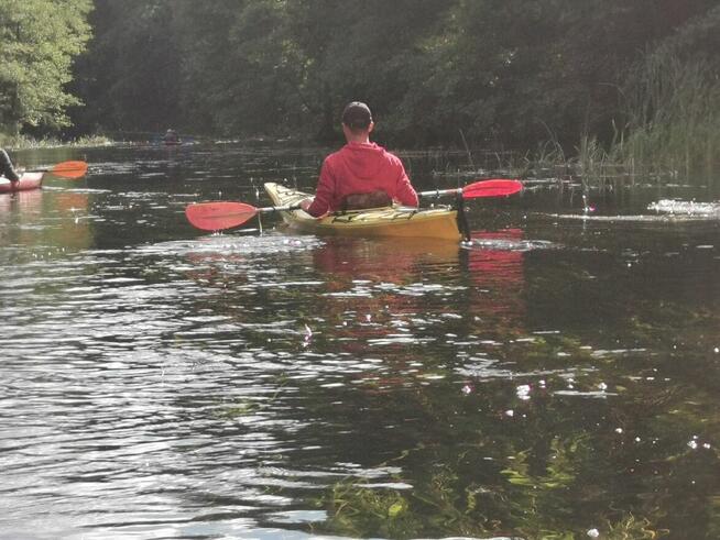 Spływ kajakowy Krutyń – Ukta | AS-TOUR Mazury