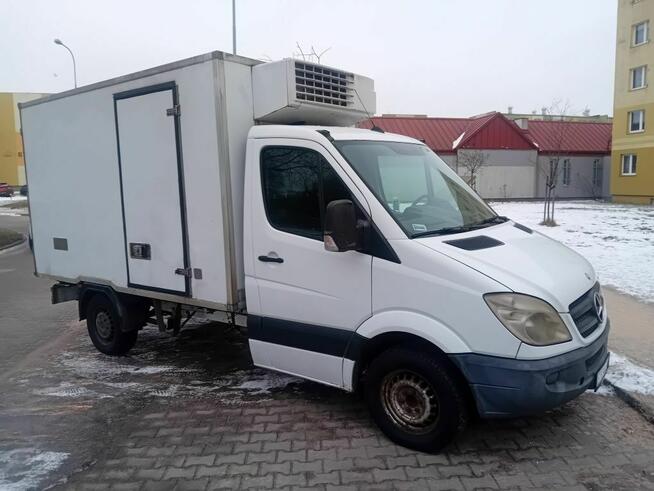 Sprinter Chłodnia kontener