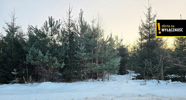 Działka inwestycyjna Wola Malkowska gm. Bogoria,