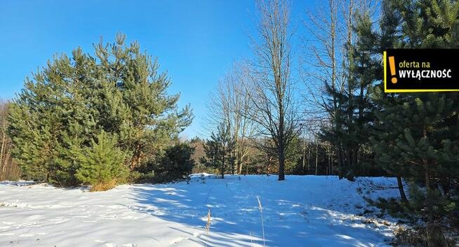 Działka inwestycyjna Wola Malkowska gm. Bogoria,