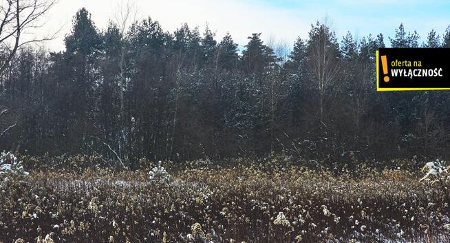 Działka rolna Osiek,