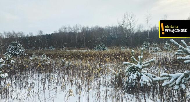 Działka rolna Osiek,