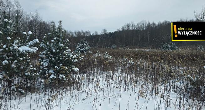 Działka rolna Osiek,