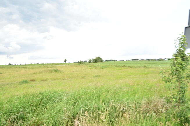 Działki w Orchowie na sprzedaż.