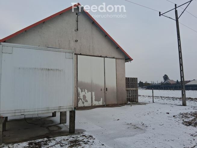 Hala magazynowo- produkcyjno- usługowa.