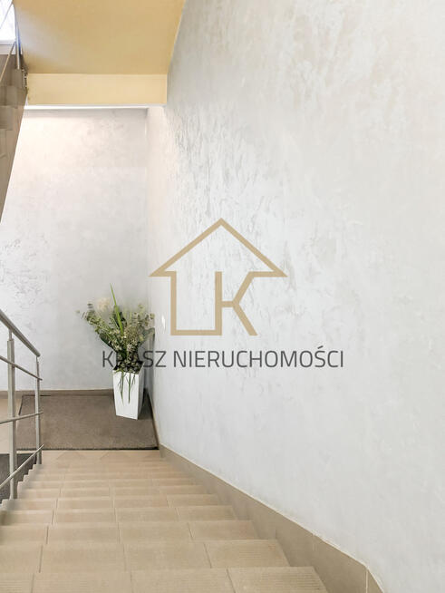 Przestronny i pełen światła lokal do wynajęcia