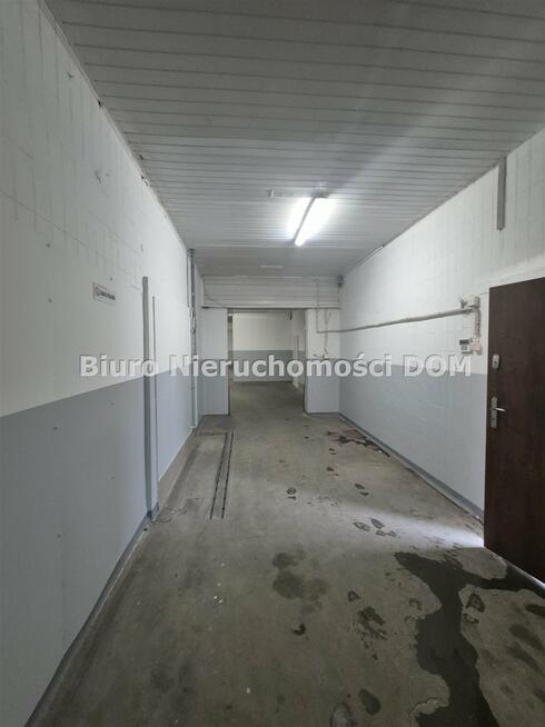 Lokal użytkowy Częstochowa Tysiąclecie