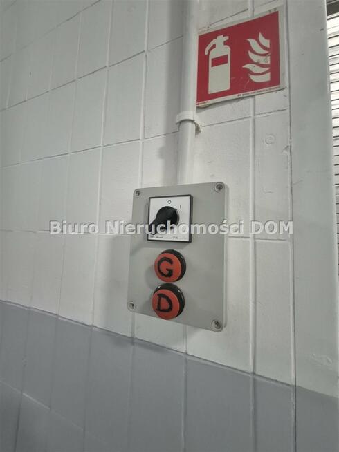 Lokal użytkowy Częstochowa Tysiąclecie