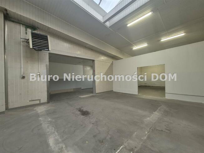 Lokal użytkowy Częstochowa Tysiąclecie