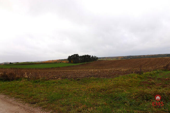 Działka rolna Żegary gm. Sejny,