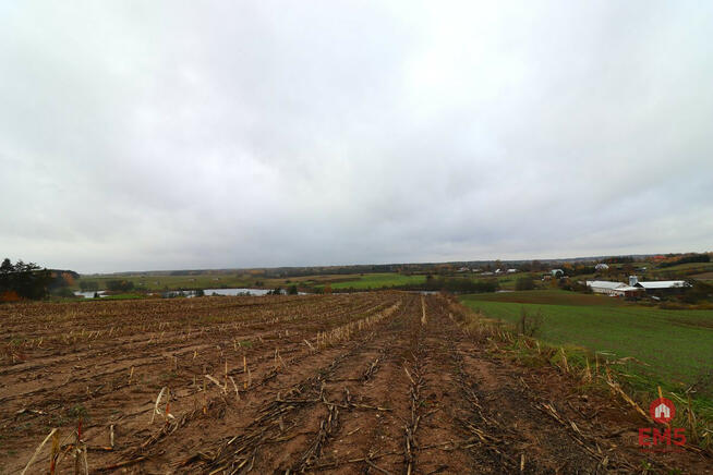 Działka rolna Żegary gm. Sejny,