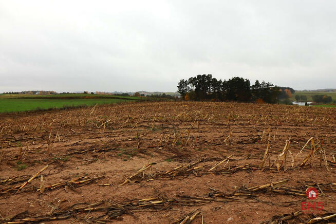 Działka rolna Żegary gm. Sejny,