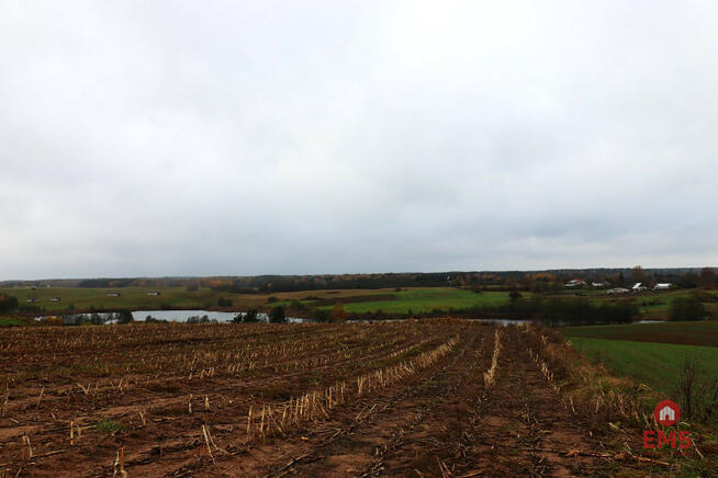 Działka rolna Żegary gm. Sejny,
