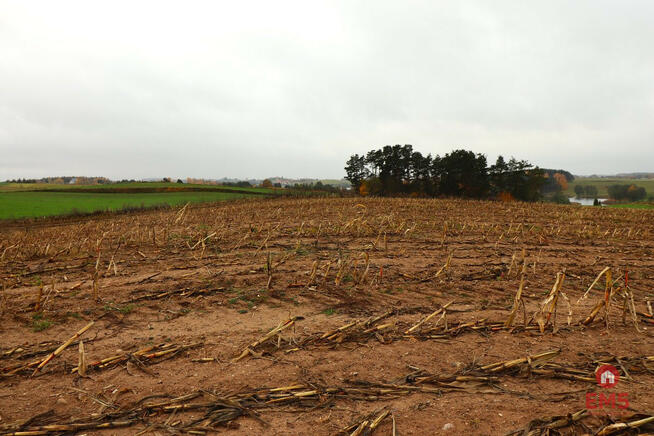 Działka rolna Żegary gm. Sejny,