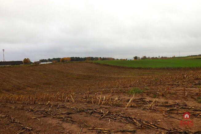 Działka rolna Żegary gm. Sejny,