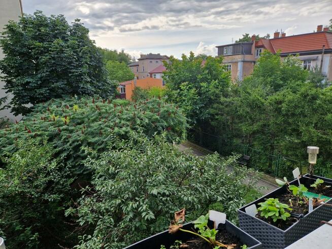 Mieszkanie na Norwida bez pośredników