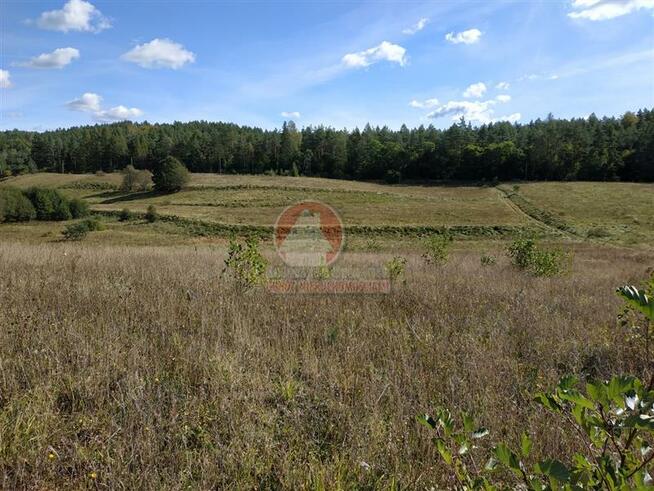 Działka budowlana Klonowo Dolne gm. Przywidz, xxx