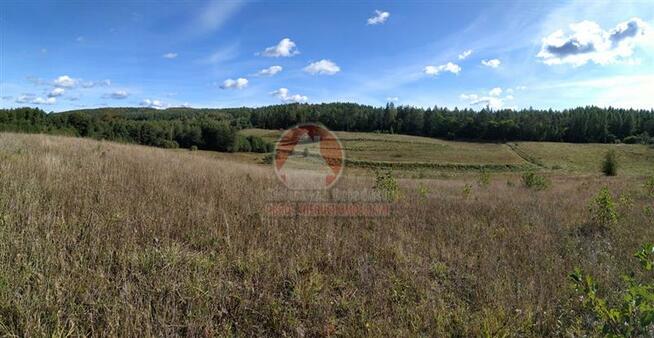 Działka budowlana Klonowo Dolne gm. Przywidz, xxx