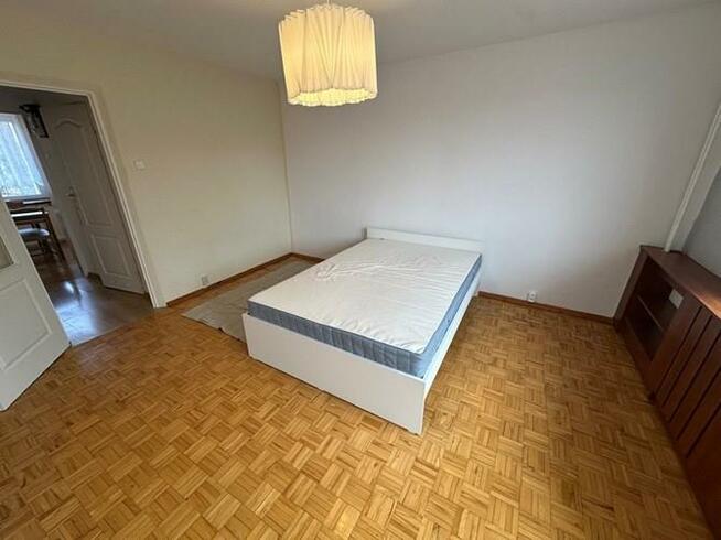 2 pokoje z balkonem, pet-friendly - Wodzickiego 99