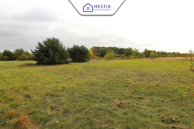 Duża działka z linią brzegową jeziora Miedwie