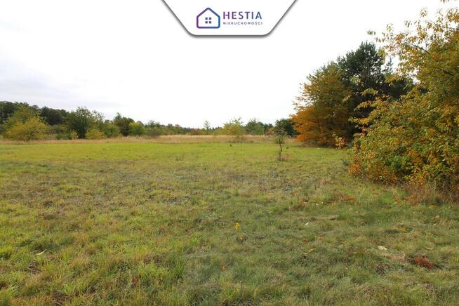 Duża działka z linią brzegową jeziora Miedwie