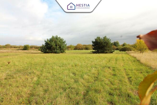 Duża działka z linią brzegową jeziora Miedwie